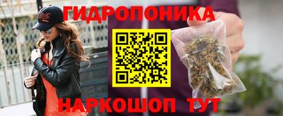 ешки Дубна