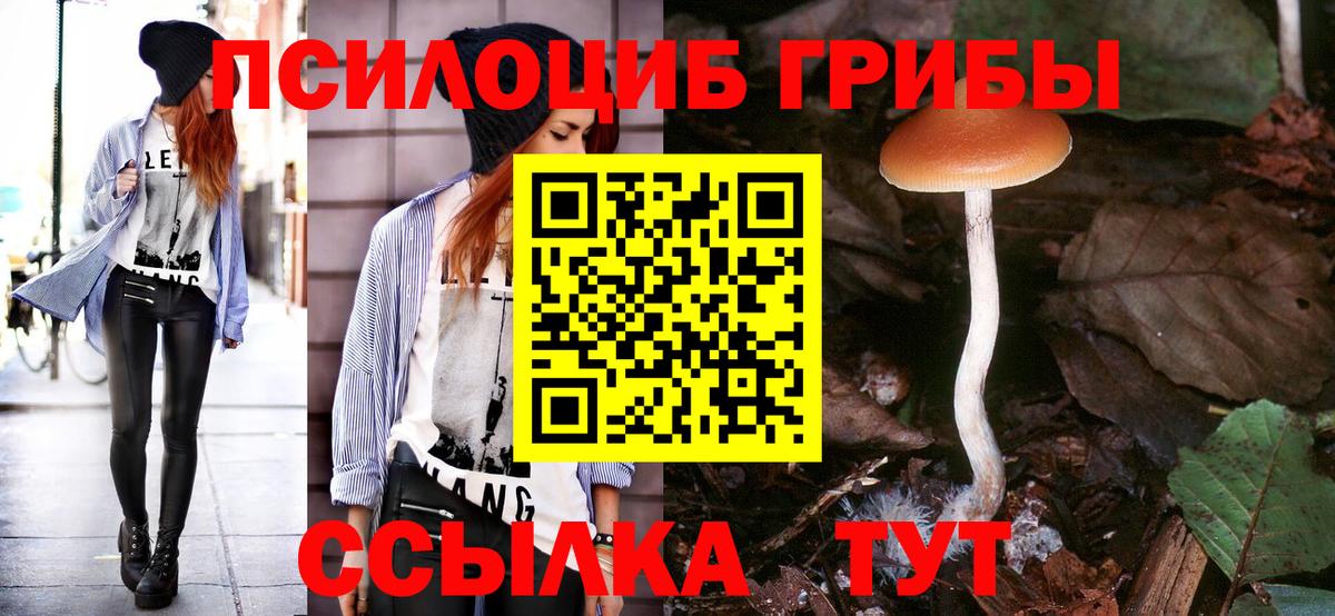 Галлюциногенные грибы мухоморы Крымск