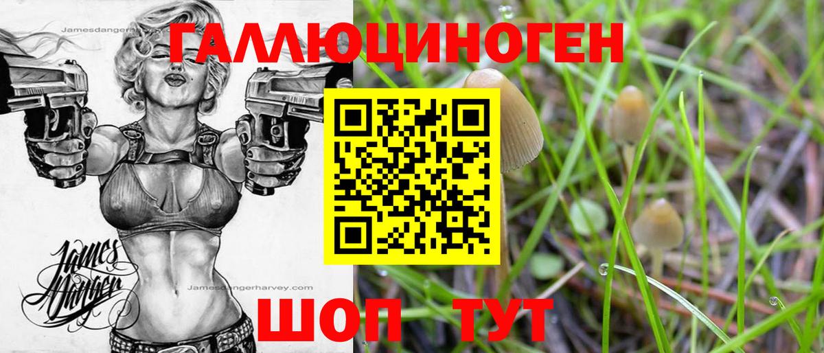 Галлюциногенные грибы ЛСД  Галлюциногенные грибы мухоморы  Крымск  Вход с VPN 